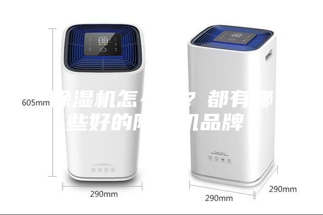 除湿机怎么??？都有哪些好的除湿机品牌？