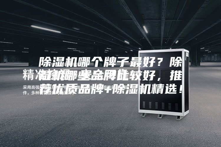 除湿机哪个牌子最好？除湿机哪些品牌比较好，推荐优质品牌+除湿机精??！
