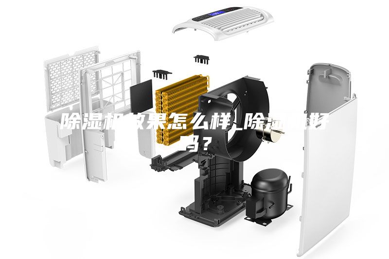 除湿机效果怎么样_除湿机好吗？
