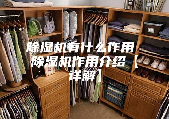 除湿机有什么作用 除湿机作用介绍【详解】