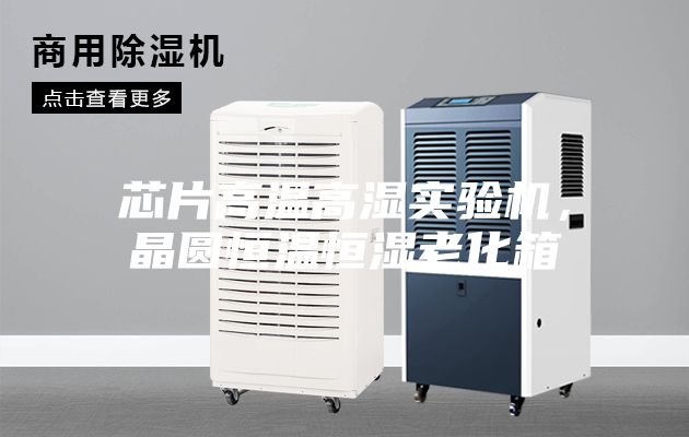 芯片高温高湿实验机，晶圆恒温恒湿老化箱
