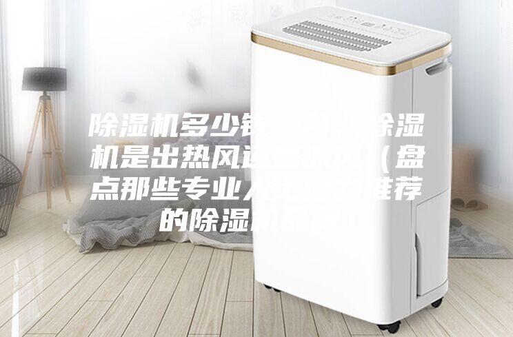 除湿机多少钱一台，除湿机是出热风还是凉风（盘点那些专业人士极力推荐的除湿机品牌）