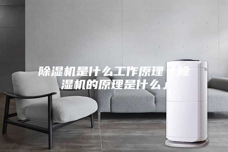 除湿机是什么工作原理「除湿机的原理是什么」
