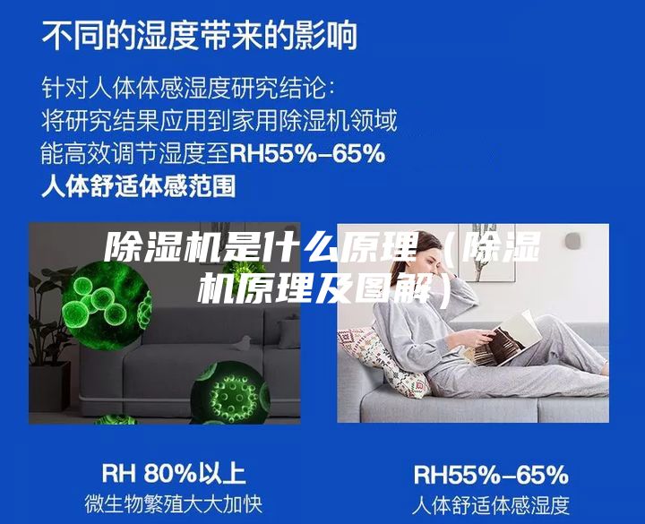 除湿机是什么原理（除湿机原理及图解）