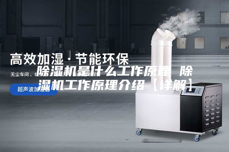 除湿机是什么工作原理 除湿机工作原理介绍【详解】