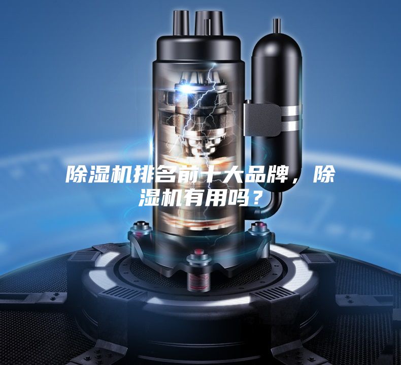 除湿机排名前十大品牌，除湿机有用吗？