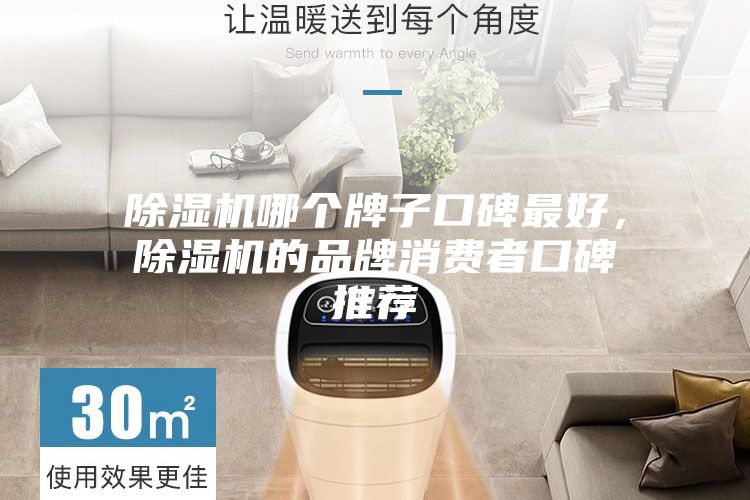 除湿机哪个牌子口碑最好，除湿机的品牌消费者口碑推荐
