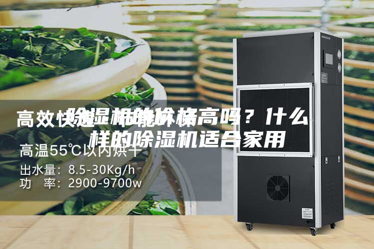 除湿机的价格高吗？什么样的除湿机适合家用
