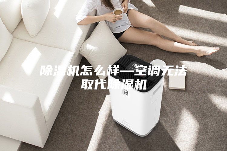 除湿机怎么样—空调无法取代除湿机
