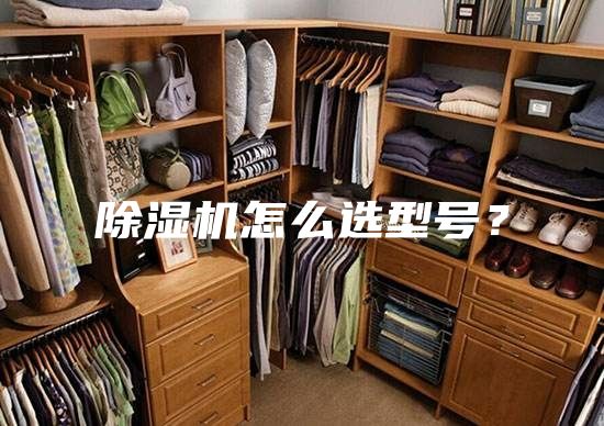 除湿机怎么选型号？