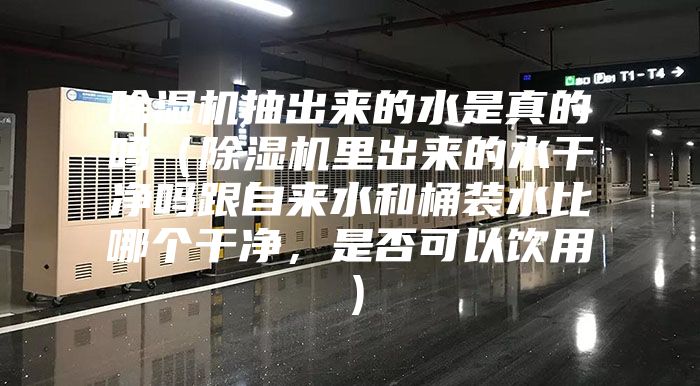 除湿机抽出来的水是真的吗（除湿机里出来的水干净吗跟自来水和桶装水比哪个干净，是否可以饮用）