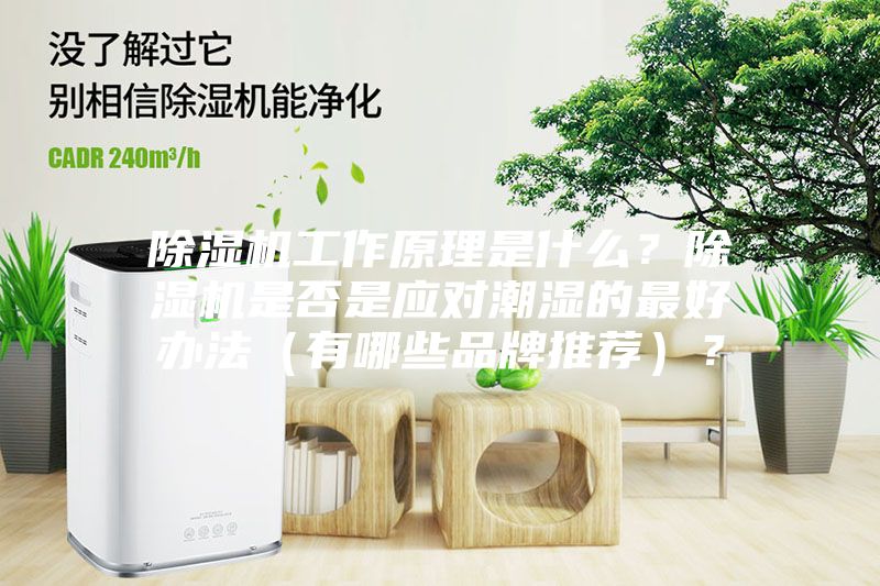 除湿机工作原理是什么？除湿机是否是应对潮湿的最好办法（有哪些品牌推荐）？