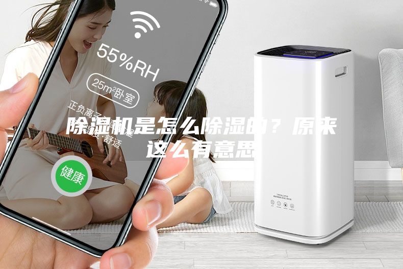 除湿机是怎么除湿的？原来这么有意思