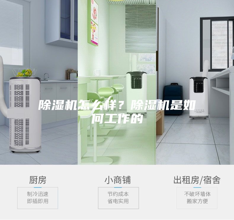 除湿机怎么样？除湿机是如何工作的