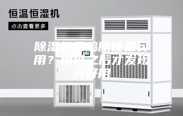 除湿机是鸡肋还是实用？用过之后才发现真好用