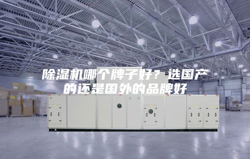 除湿机哪个牌子好？选国产的还是国外的品牌好