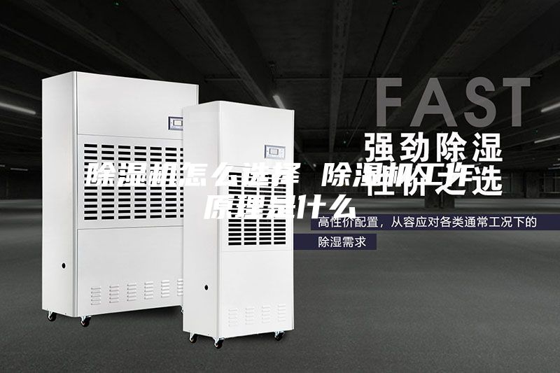除湿机怎么选择 除湿机工作原理是什么