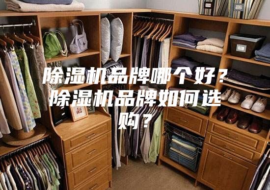除湿机品牌哪个好？除湿机品牌如何选购？