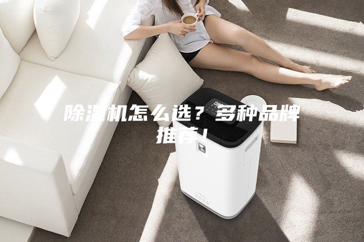 除湿机怎么??？多种品牌推荐！