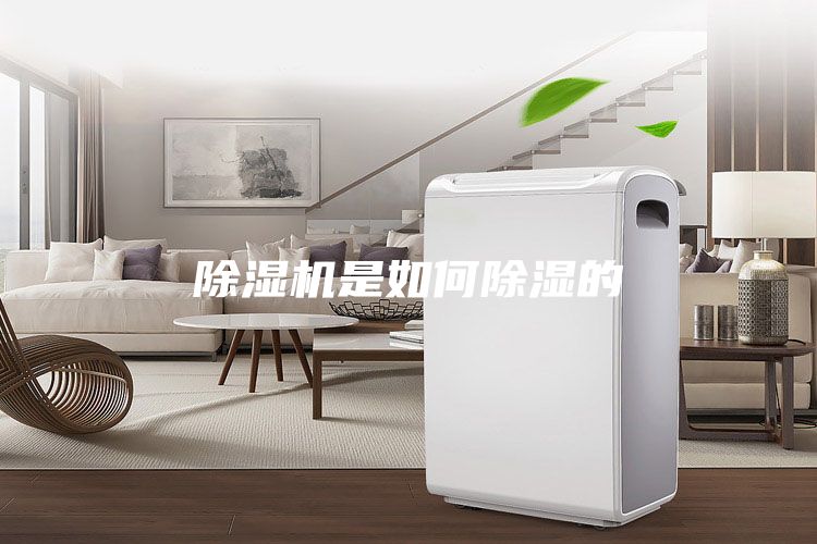 除湿机是如何除湿的