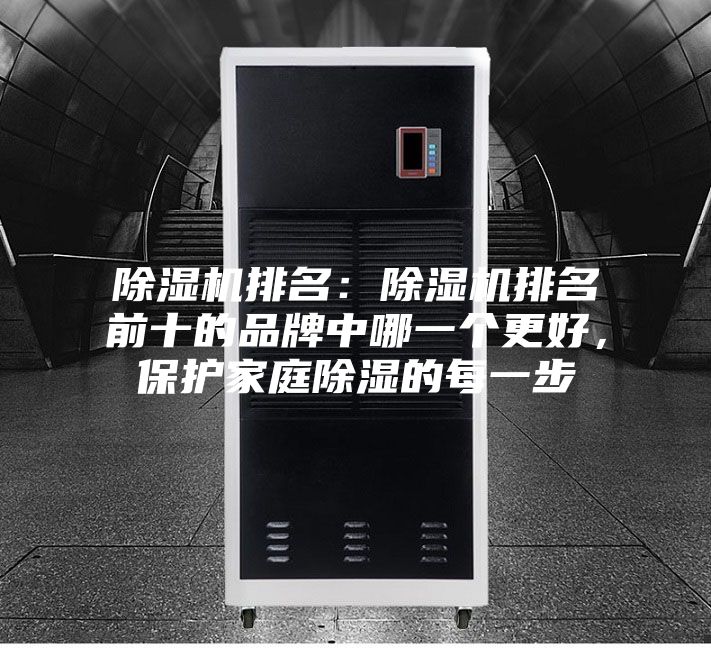 除湿机排名：除湿机排名前十的品牌中哪一个更好，?；ぜ彝コ拿恳徊?></div>
								<div class=
