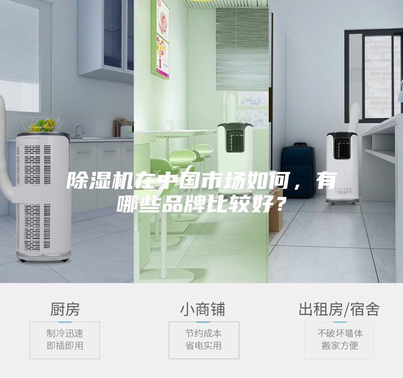 除湿机在中国市场如何，有哪些品牌比较好？