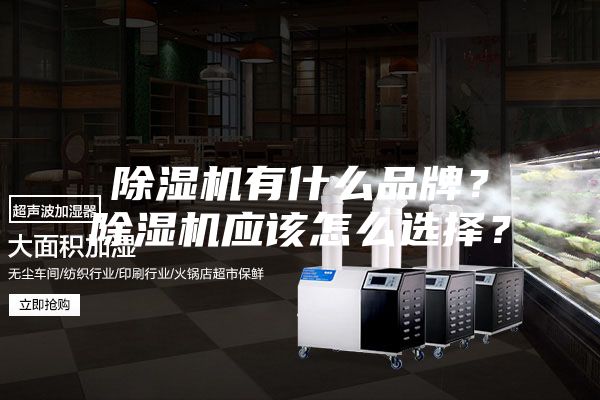 除湿机有什么品牌？除湿机应该怎么选择？