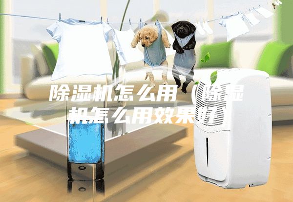 除湿机怎么用（除湿机怎么用效果好）