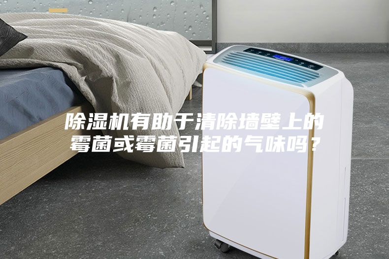 除湿机有助于清除墙壁上的霉菌或霉菌引起的气味吗？