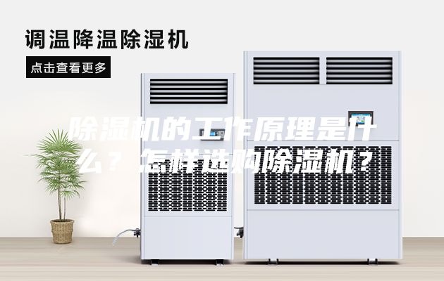 除湿机的工作原理是什么？怎样选购除湿机？