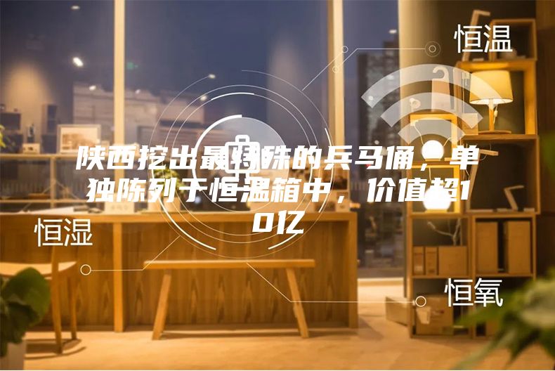 陕西挖出最特殊的兵马俑，单独陈列于恒温箱中，价值超10亿