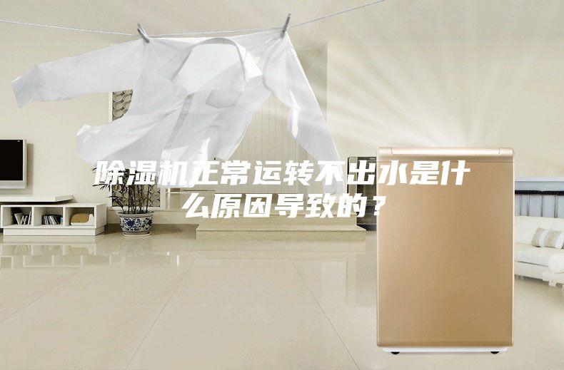 除湿机正常运转不出水是什么原因导致的？