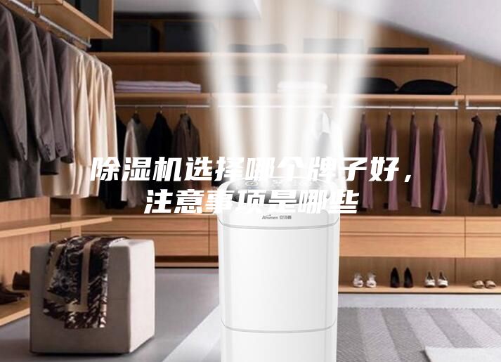 除湿机选择哪个牌子好，注意事项是哪些