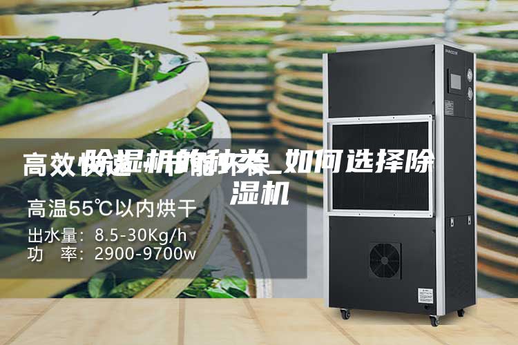 除湿机的种类_如何选择除湿机