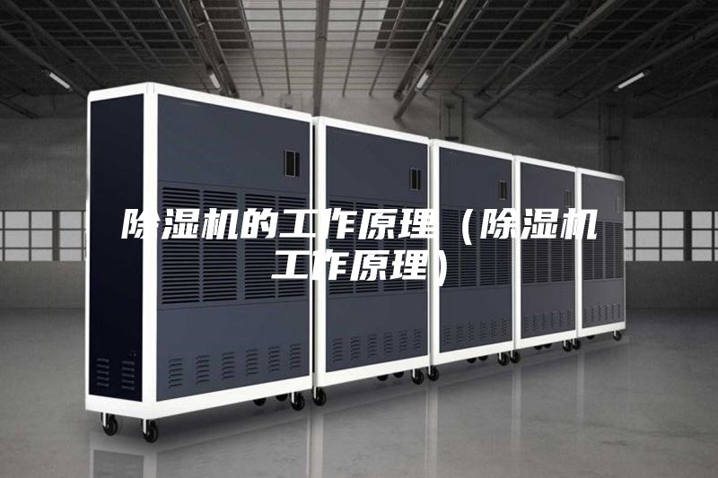 除湿机的工作原理（除湿机工作原理）