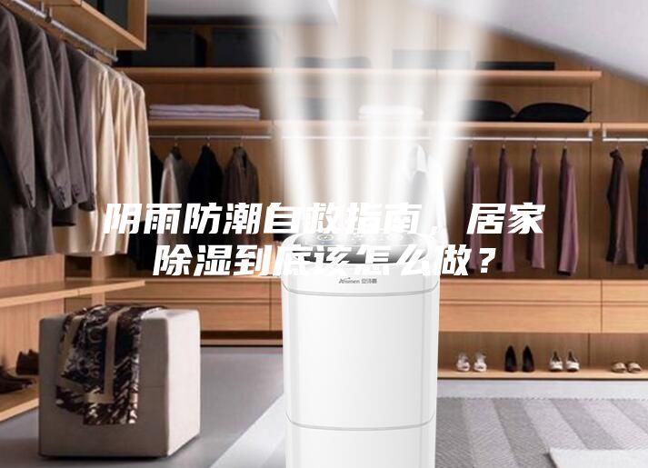 阴雨防潮自救指南，居家除湿到底该怎么做？