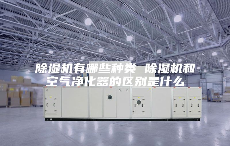 除湿机有哪些种类 除湿机和空气净化器的区别是什么
