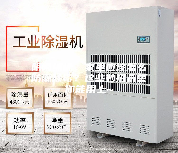 阴雨绵绵，家里应该怎么防潮除霉？这些妙招希望你能用上~