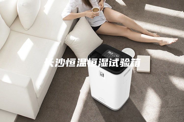 长沙恒温恒湿试验箱