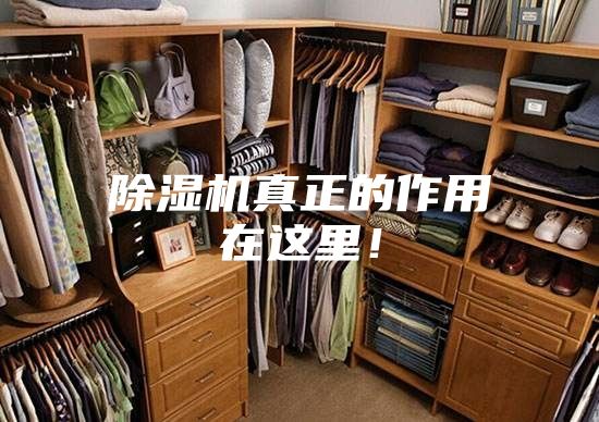 除湿机真正的作用在这里！
