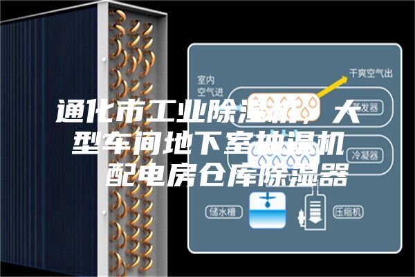 通化市工业除湿机，大型车间地下室抽湿机  配电房仓库除湿器