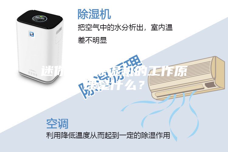 迷你家用除湿机的工作原理是什么？