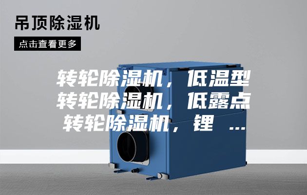 转轮除湿机，低温型转轮除湿机，低露点转轮除湿机，锂 ...