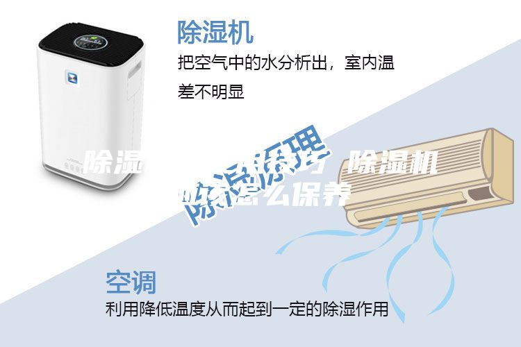 除湿机的使用技巧 除湿机应该怎么保养