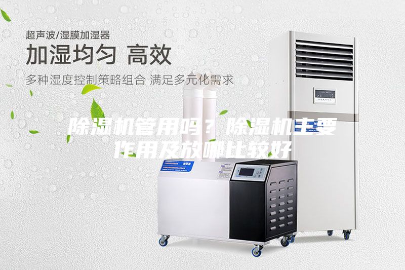 除湿机管用吗？除湿机主要作用及放哪比较好