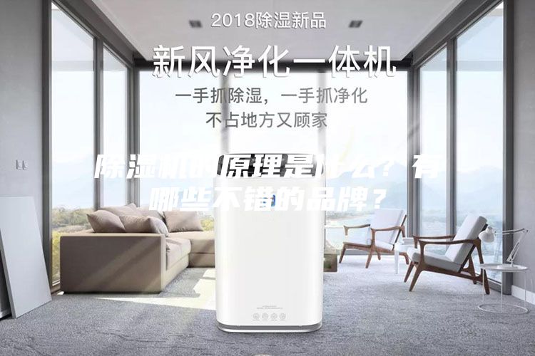 除湿机的原理是什么？有哪些不错的品牌？