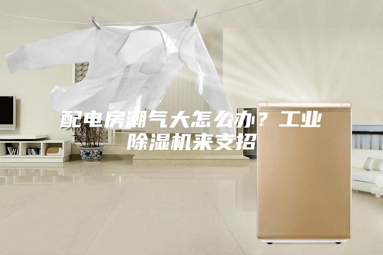 配电房潮气大怎么办？工业除湿机来支招