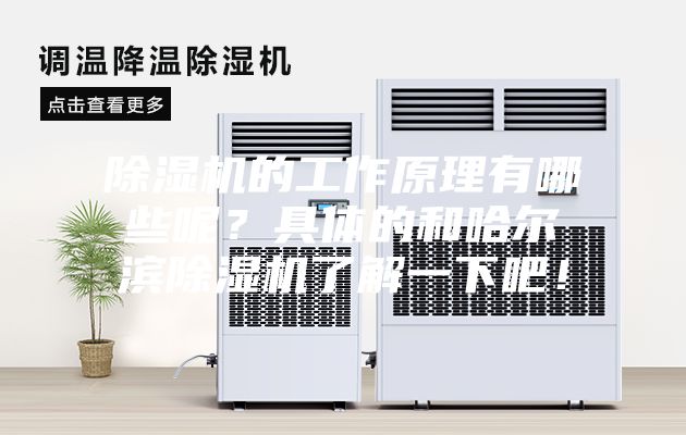 除湿机的工作原理有哪些呢？具体的和哈尔滨除湿机了解一下吧！