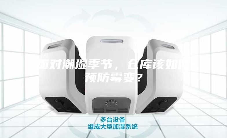 面对潮湿季节，仓库该如何预防霉变？