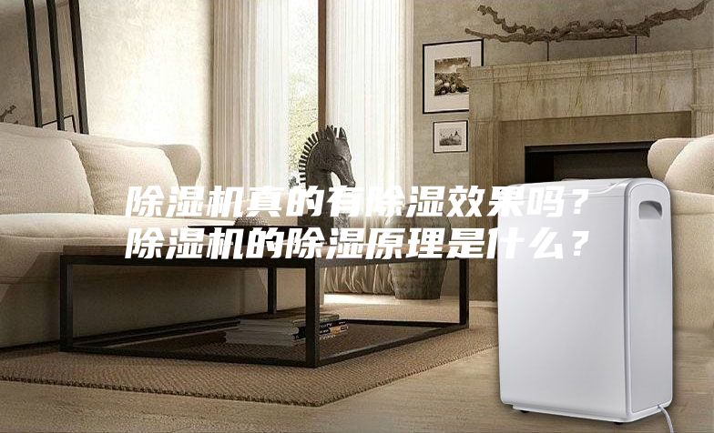 除湿机真的有除湿效果吗？除湿机的除湿原理是什么？